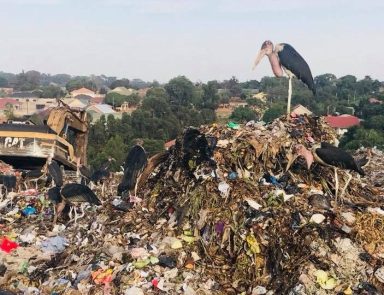 Technical Feasibility Assessment covering waste characterization of the Kitezi biogas to power plant under KCCA